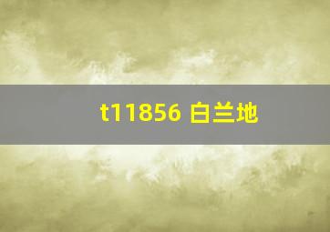 t11856 白兰地